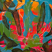 Maguey Fire